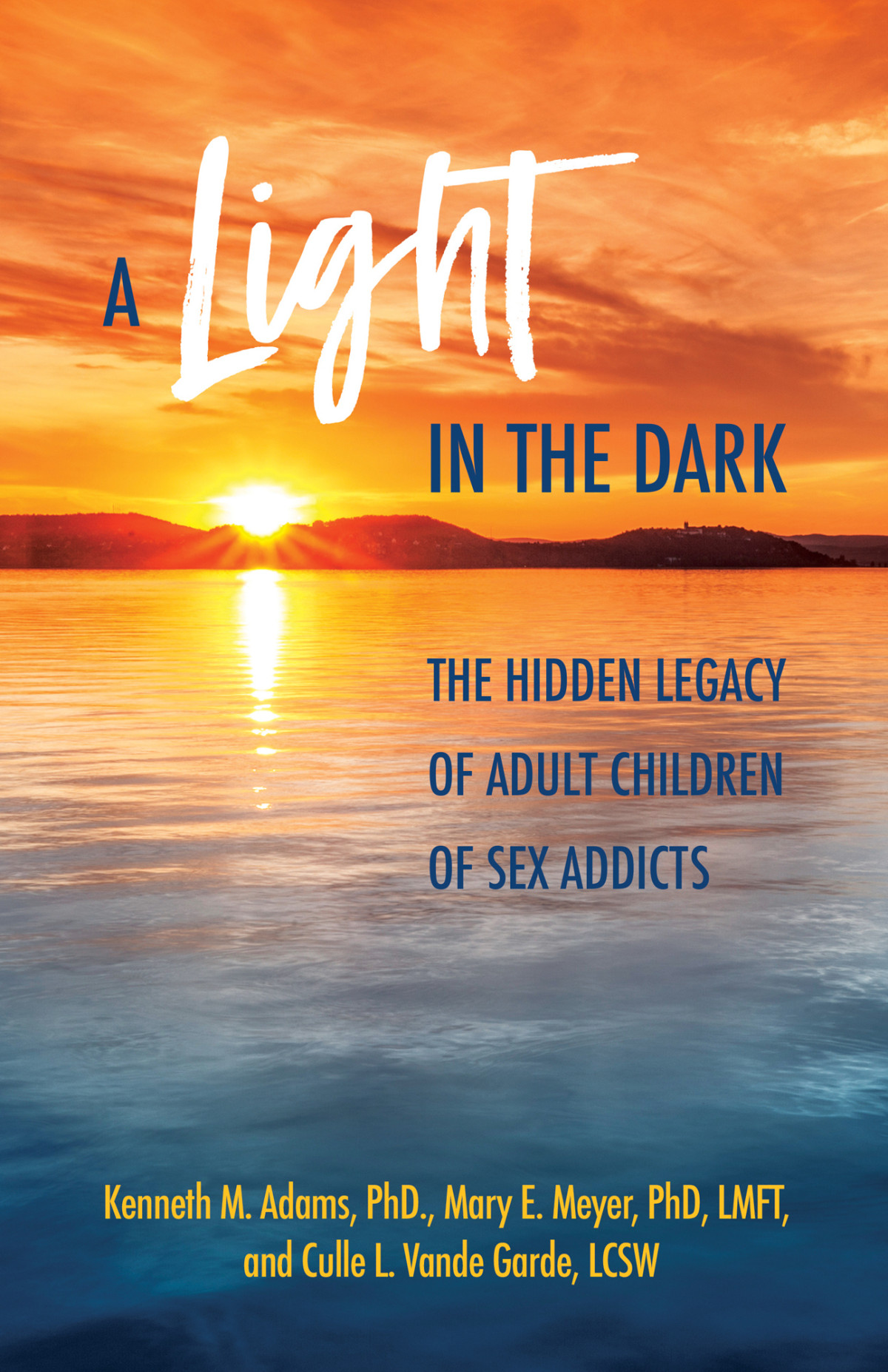 A Light In The Dark Kenneth M Adams Mary E Meyer Culle L Vande Garde
