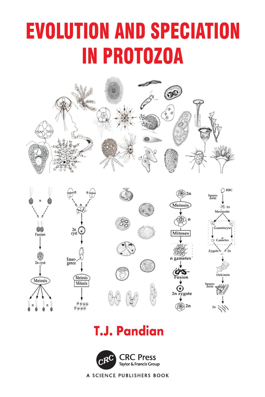 Evolution And Speciation In Protozoa Tj Pandian