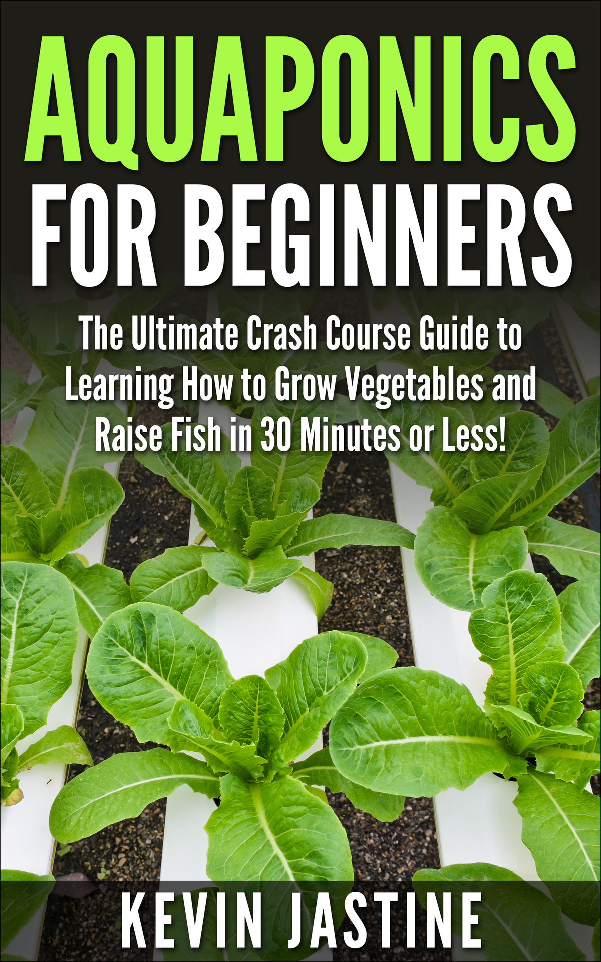Aquaponics For Beginners The Ultimate Crash Course Guide To Learning How To Grow Vegetables And Raise Fish In 30 Minutes Or Less Kevin Jastine