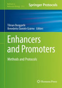 Enhancers And Promoters 1st Tilman Borggrefe Benedetto Daniele Giaimo