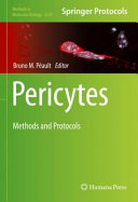 Pericytes 1st Bruno M Pault