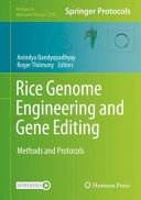Rice Genome Engineering And Gene Editing 1st Anindya Bandyopadhyay