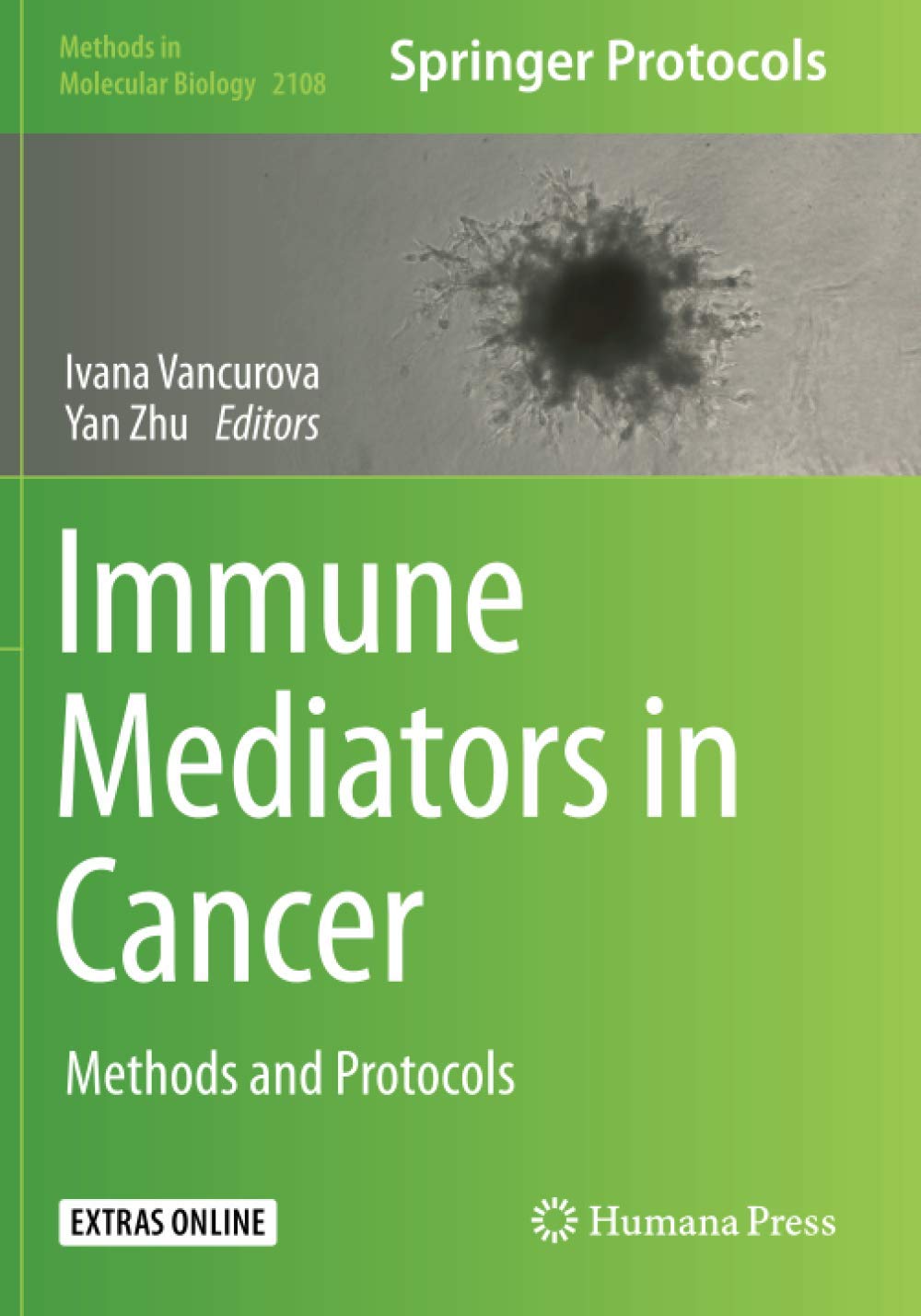 Immune Mediators In Cancer Methods And Protocols 1st Ed 2020 Edition Ivana Vancurova