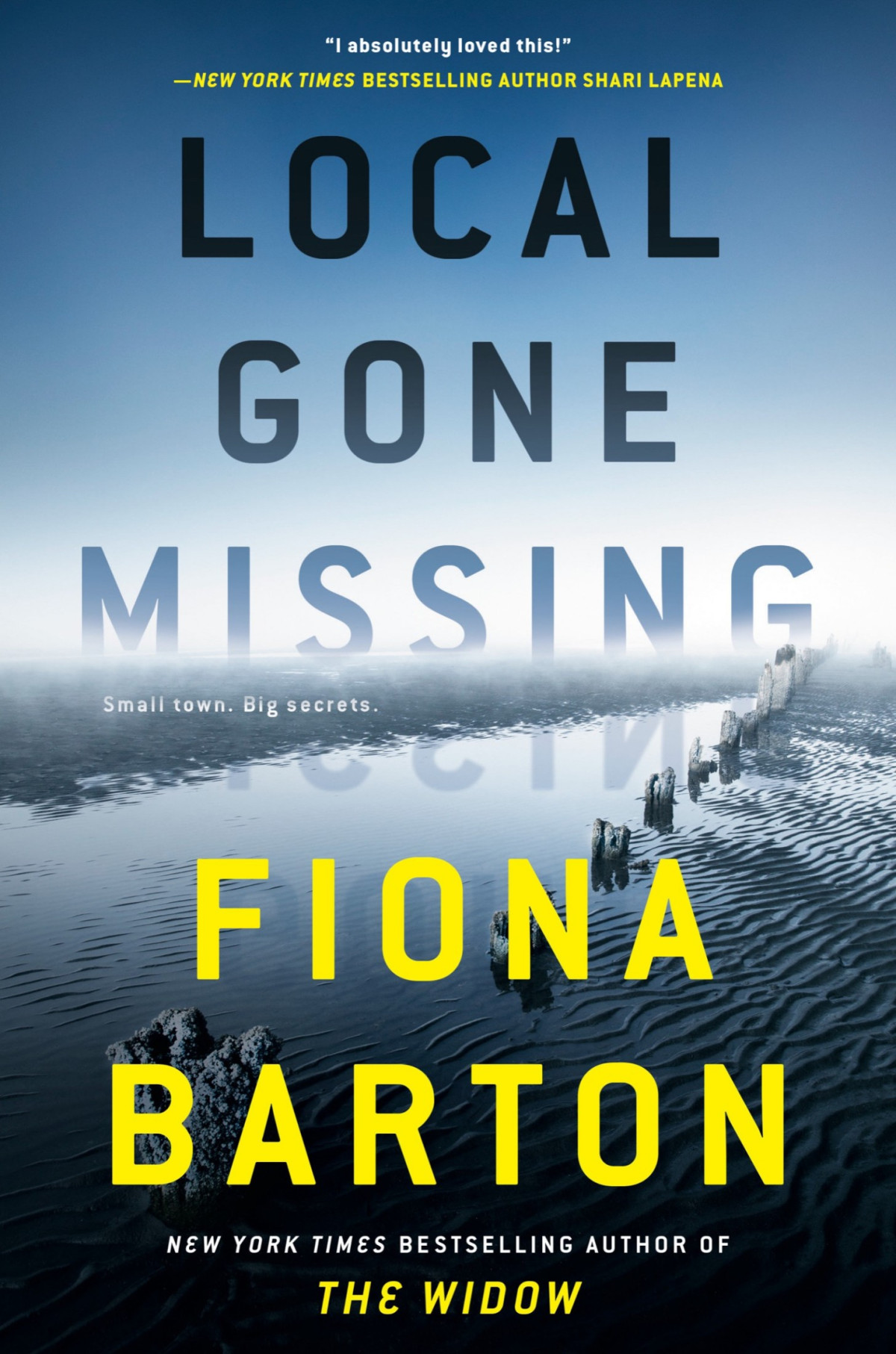 Local Gone Missing Fiona Barton