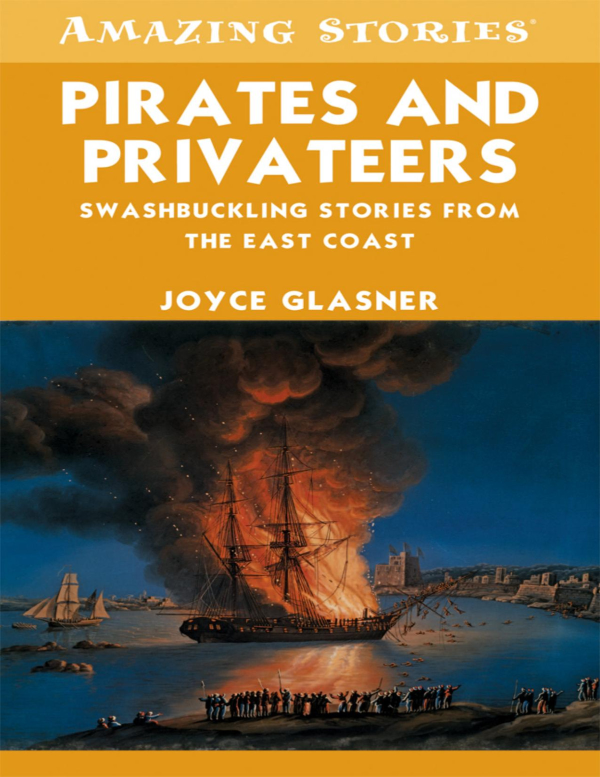 Pirates And Privateers Joyce Glasner