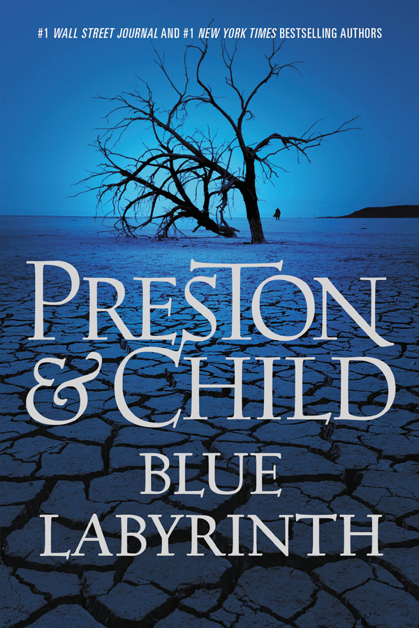 Blue Labyrinth 1st Douglas Preston Lincoln Child