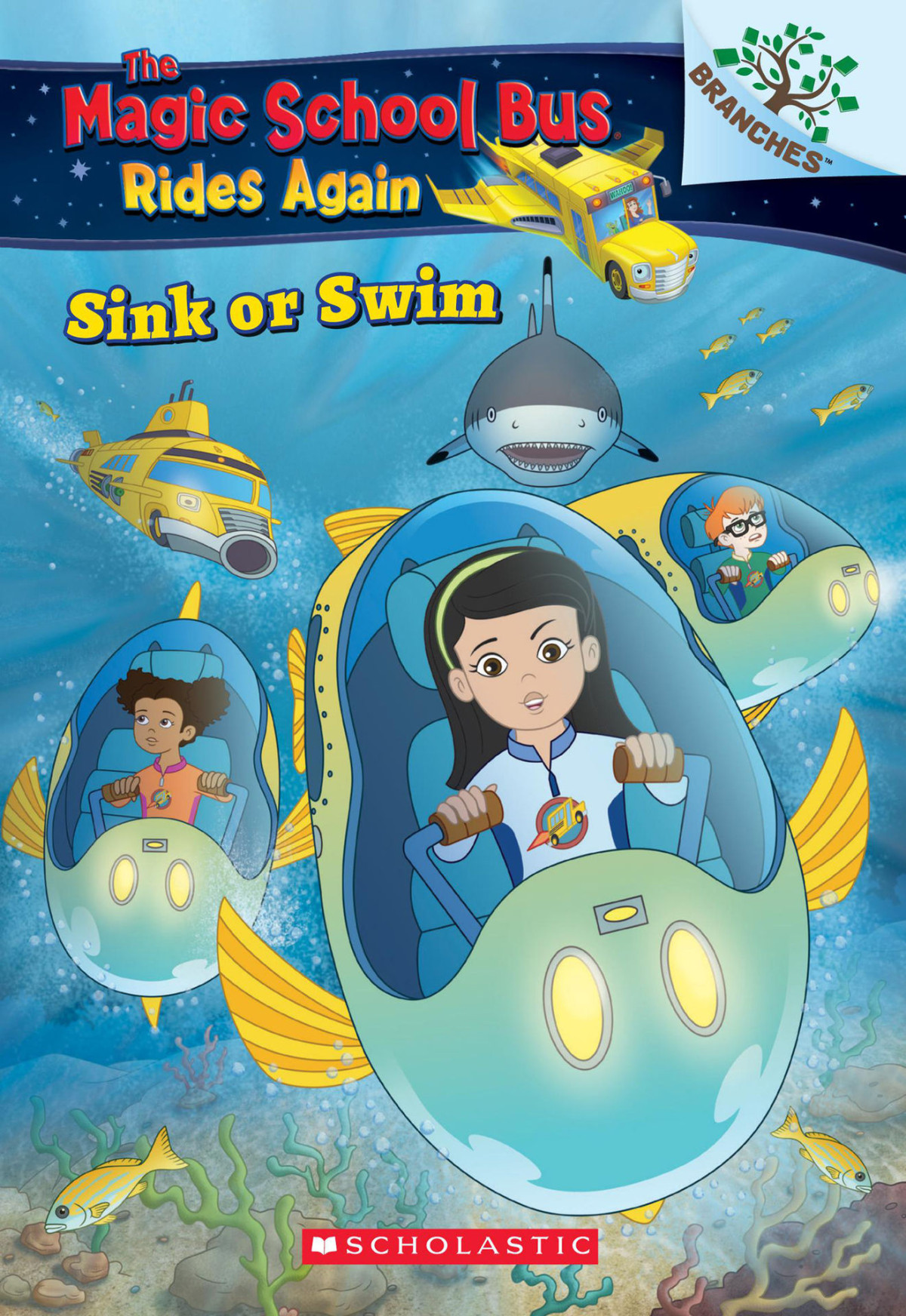Sink Or Swim Exploring Schools Of Fish 1st Judy Katschke