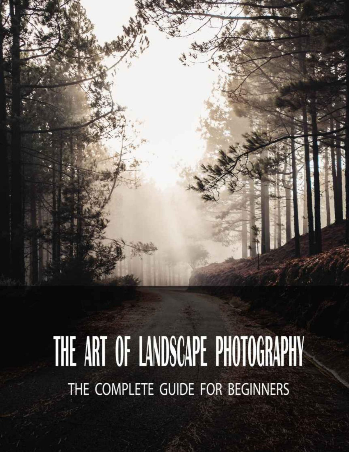 The Art Of Landscape Photography The Complete Guide For Beginners Ellers