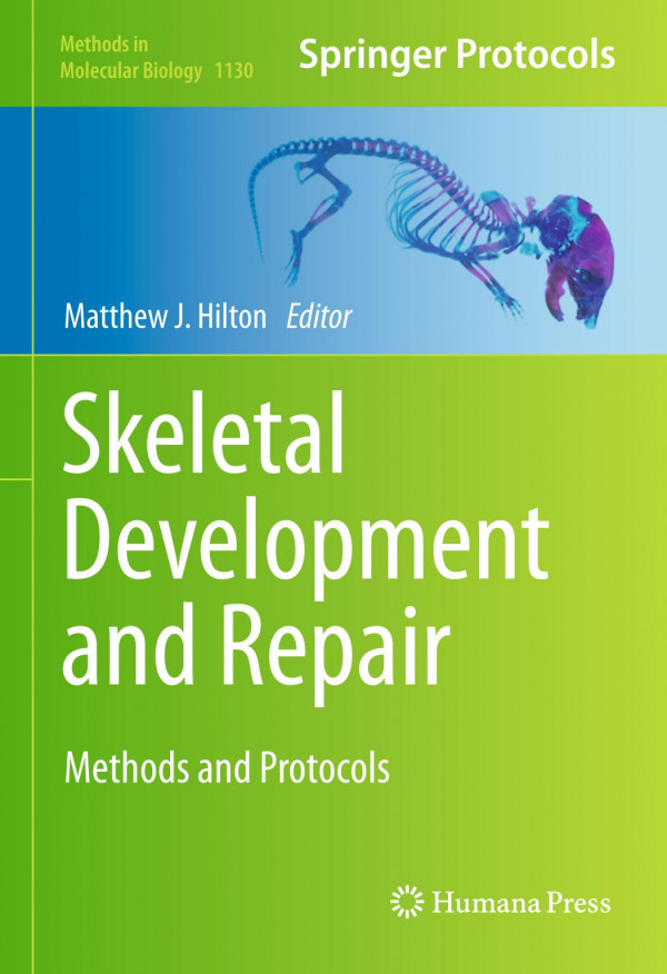Skeletal Development And Repair Methods And Protocols 2014th Matthew J Hilton