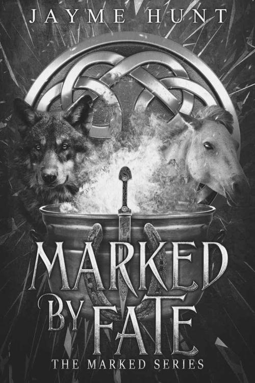 Marked By Fate The Marked Series Book 1 Jayme Hunt