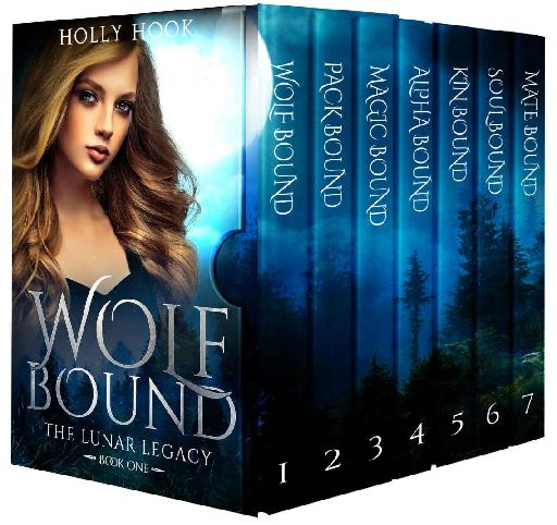 The Lunar Legacy Boxset Books 17a Complete Series Ya Wolf Shifter Boxset Holly Hook