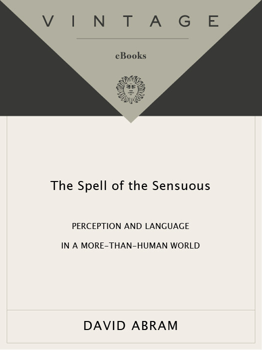 The Spell Of The Sensuous David Abram