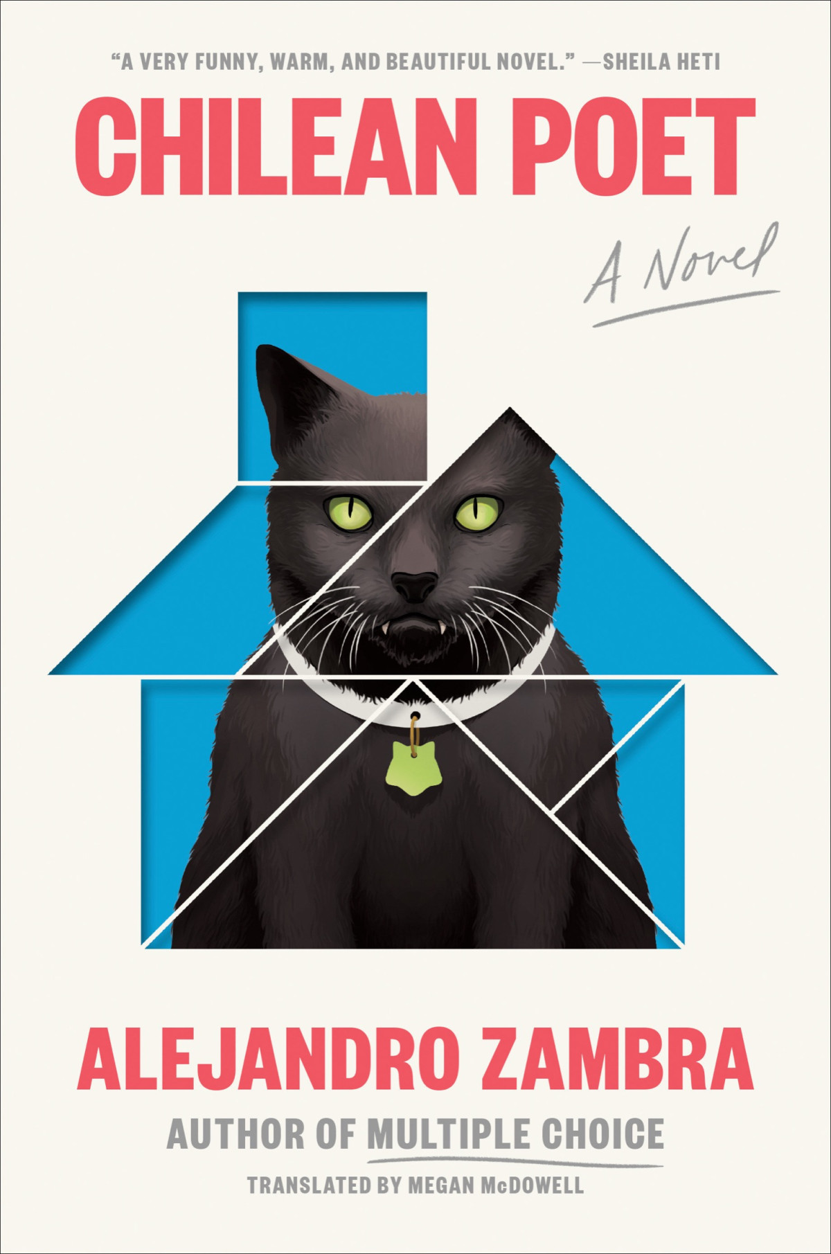 Chilean Poet Alejandro Zambra