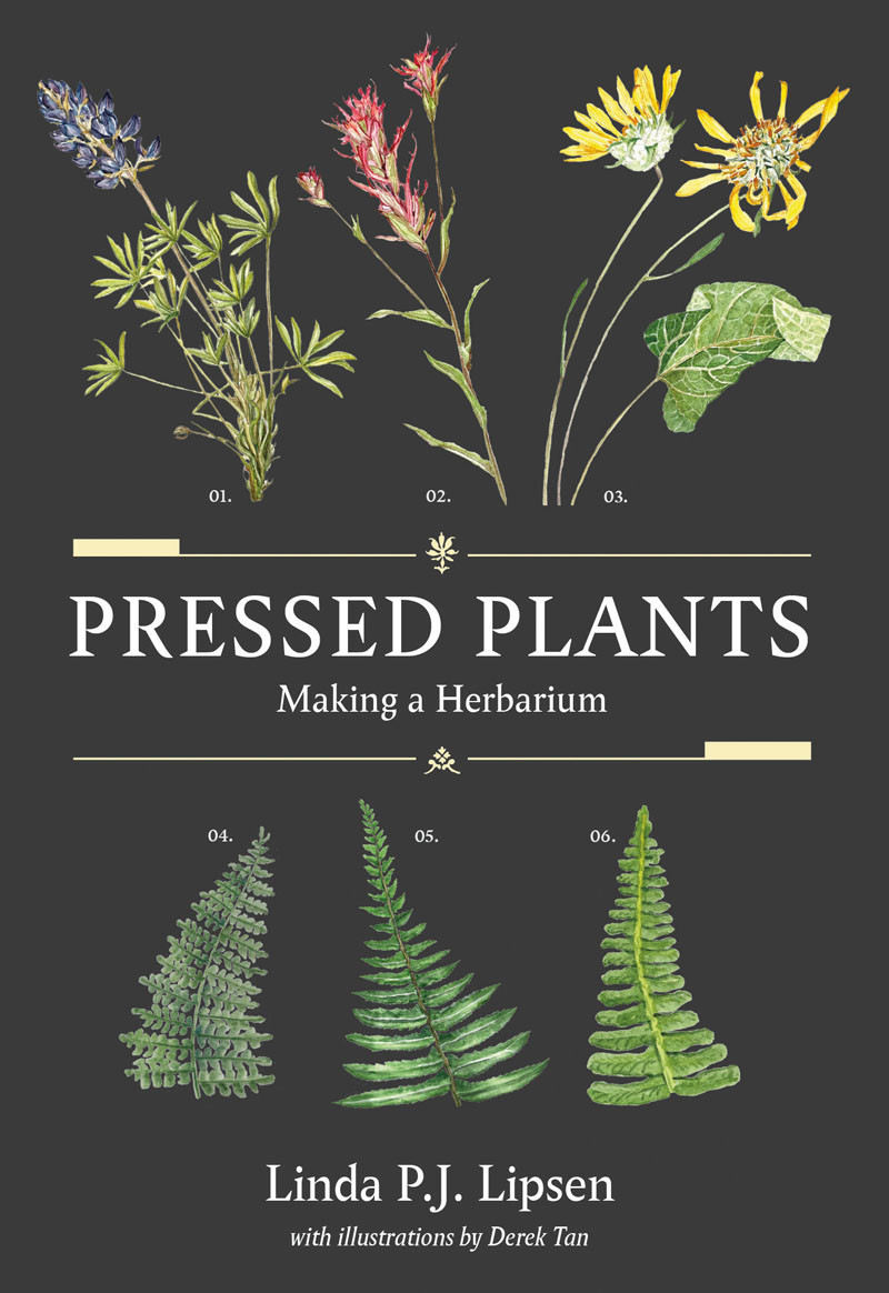 Pressed Plants Making A Herbarium Linda Pj Lipsen Derek Tan