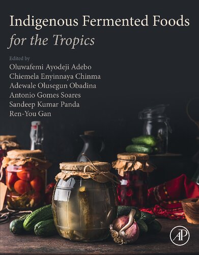 Indigenous Fermented Foods For The Tropics Oluwafemi Ayodeji Adebo