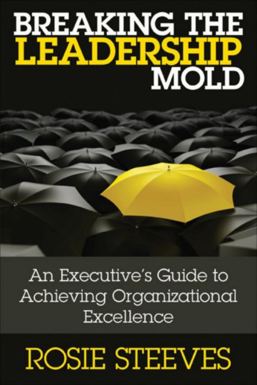 Breaking The Leadership Mold An Executives Guide To Achieving Organizational Excellence 1st Edition Rosie Steeves