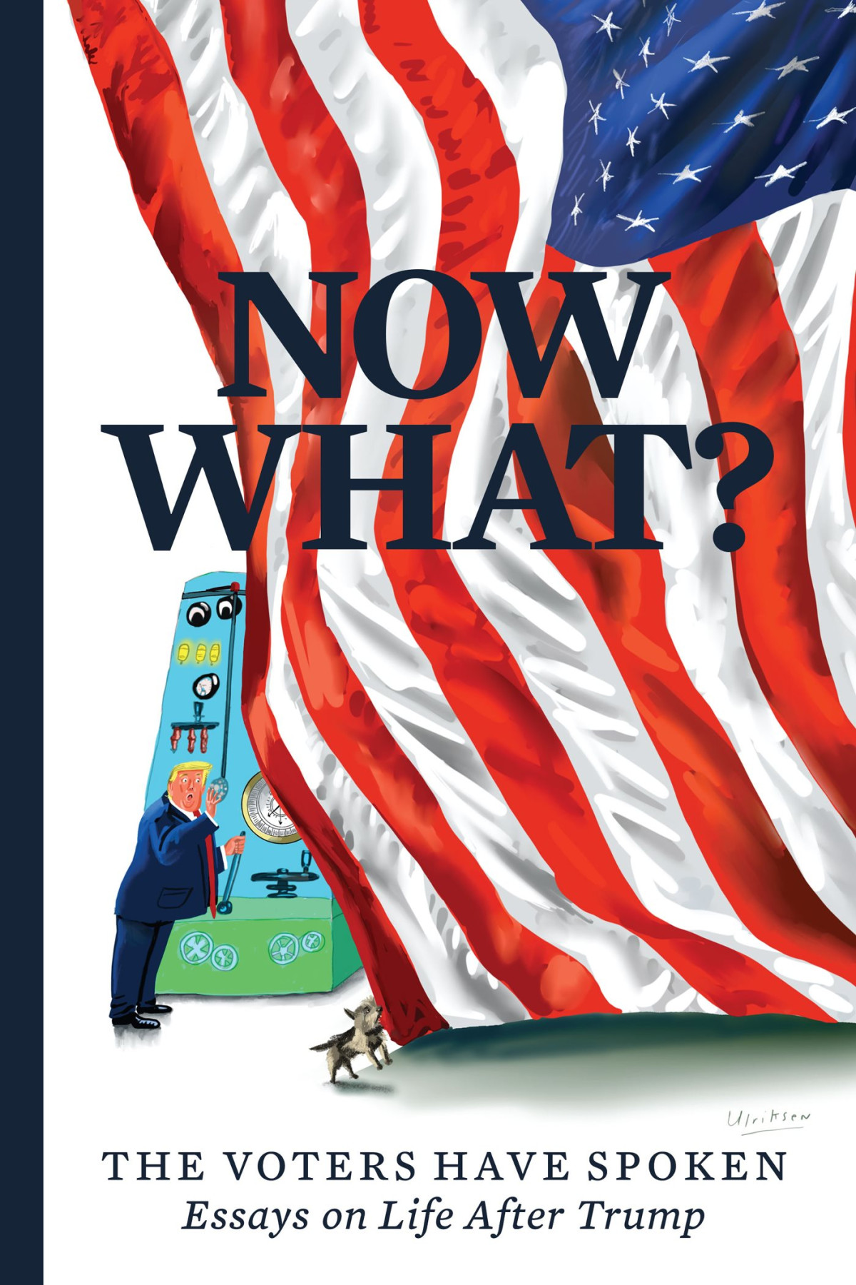 Now What The Voters Have Spoken Essays On Life After Trump Mary C Curtis