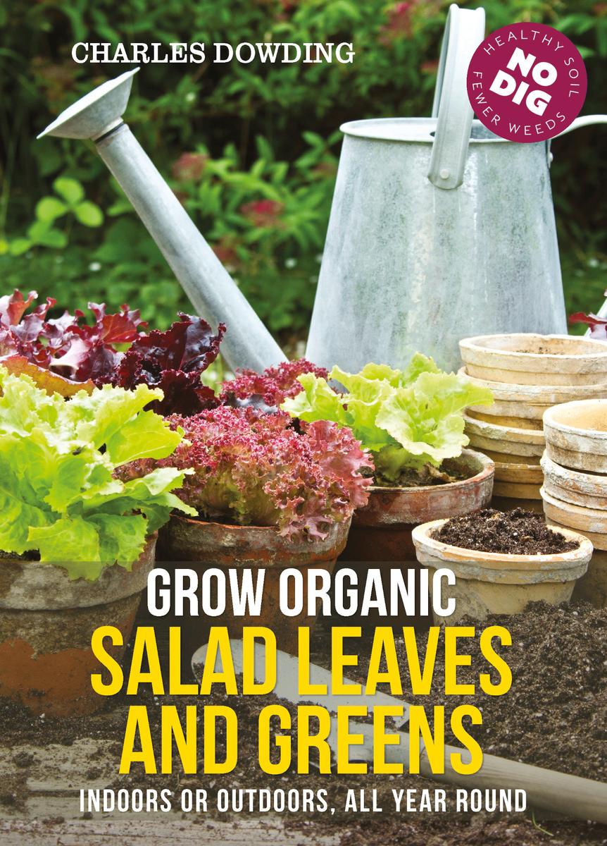 Grow Organic Salad Leaves And Greens Charles Dowding