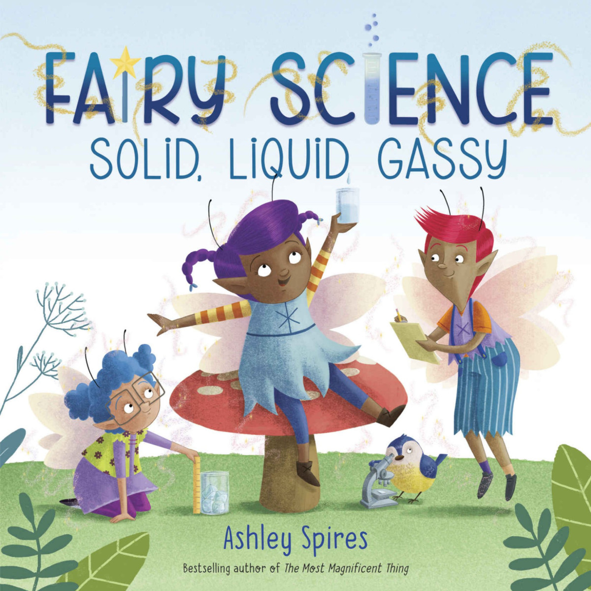 Solid Liquid Gassy A Fairy Science Story Ashley Spires