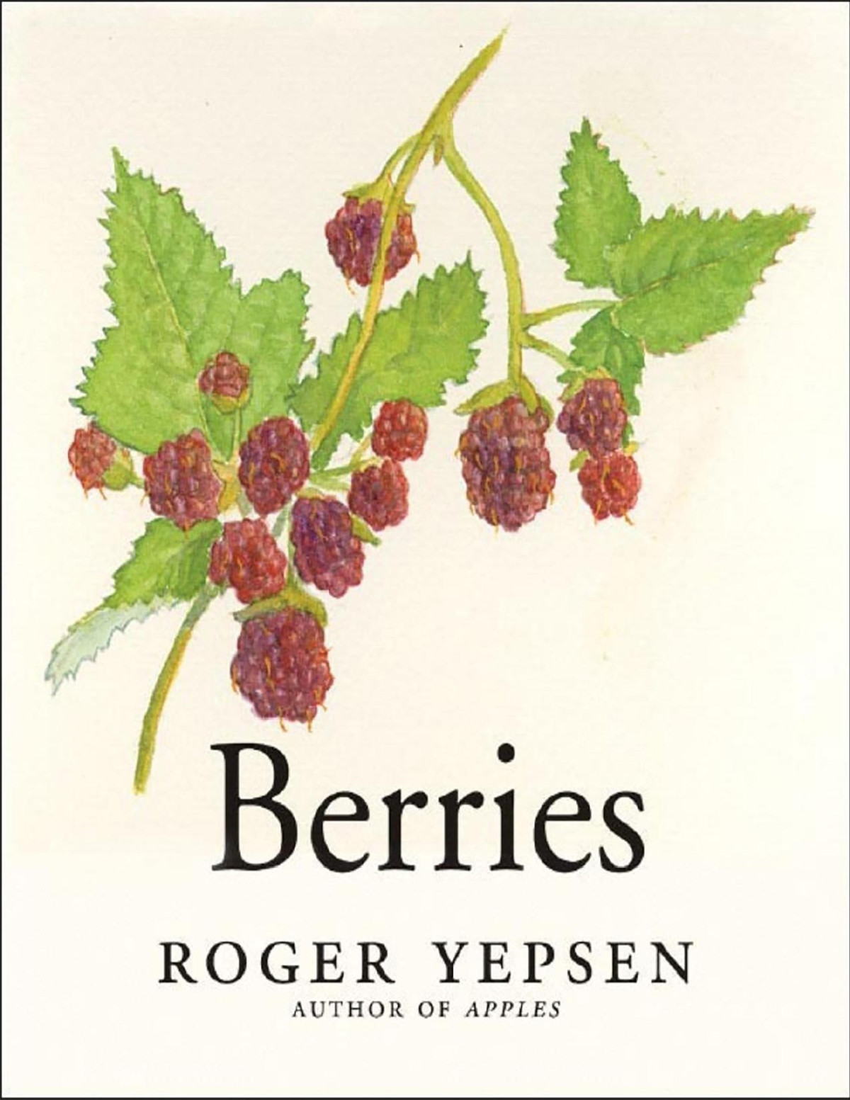 Berries Roger Yepsen