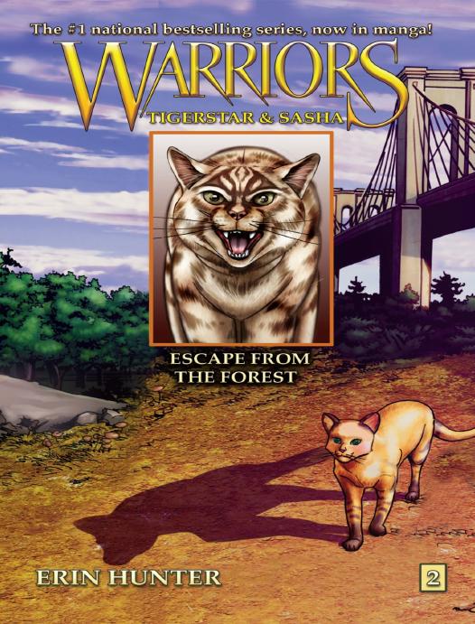 Escape From The Forest Erin Hunter