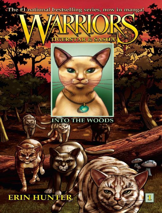 Into The Woods Erin Hunter