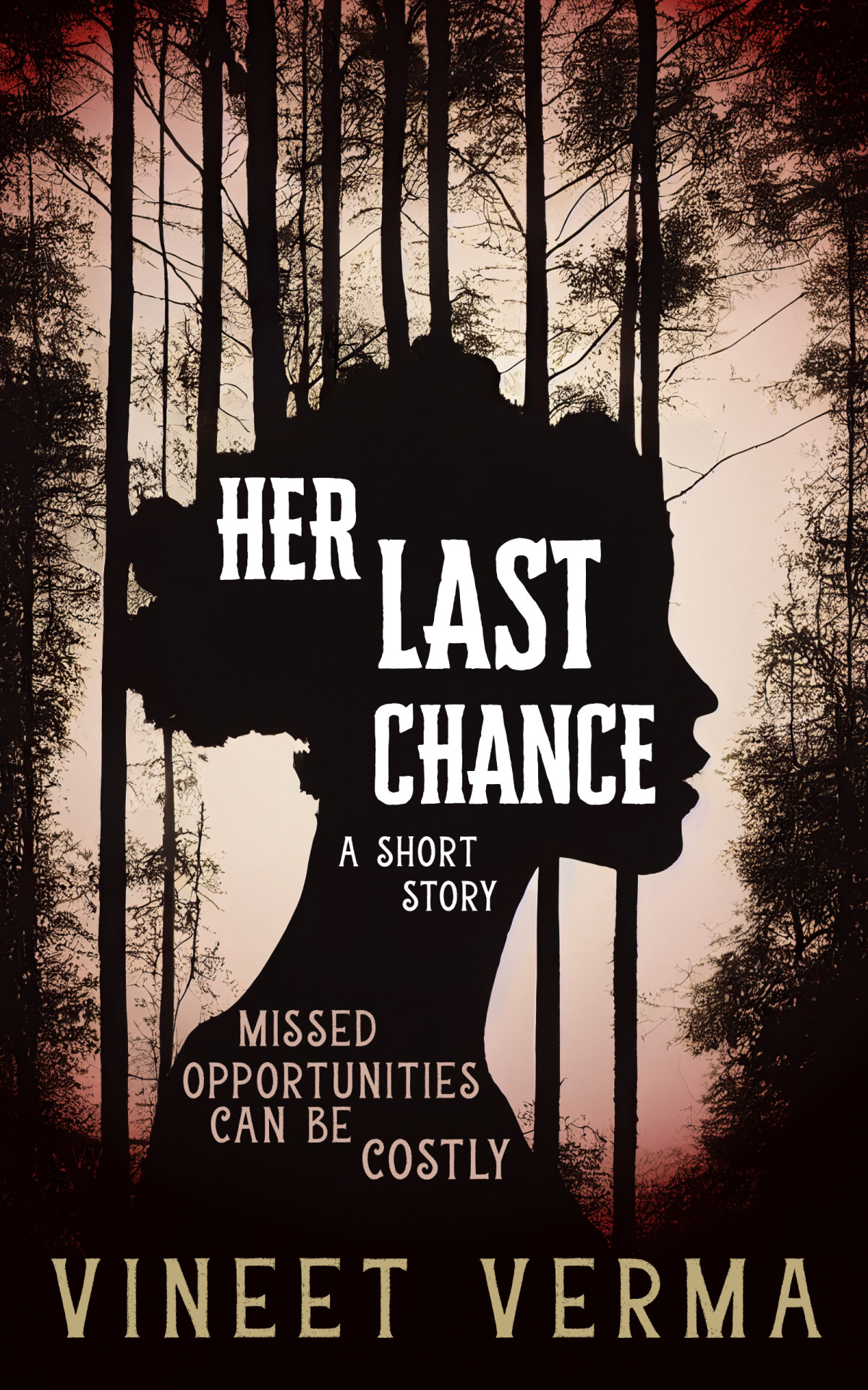 Her Last Chancea Short Story Vineet Verma