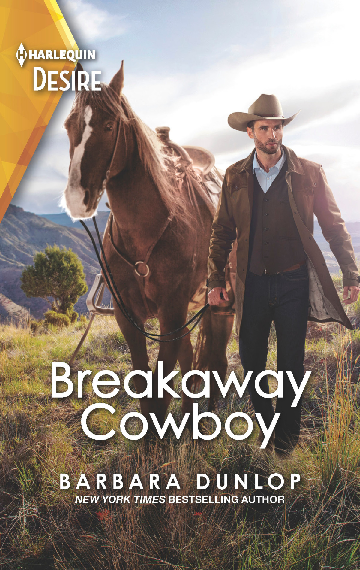 Breakaway Cowboy Barbara Dunlop