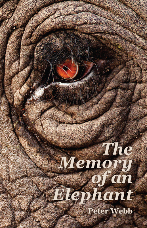The Memory Of An Elephant Peter Webb