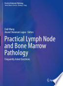 Practical Lymph Node And Bone Marrow Pathology Frequently Asked Questions Endi Wang