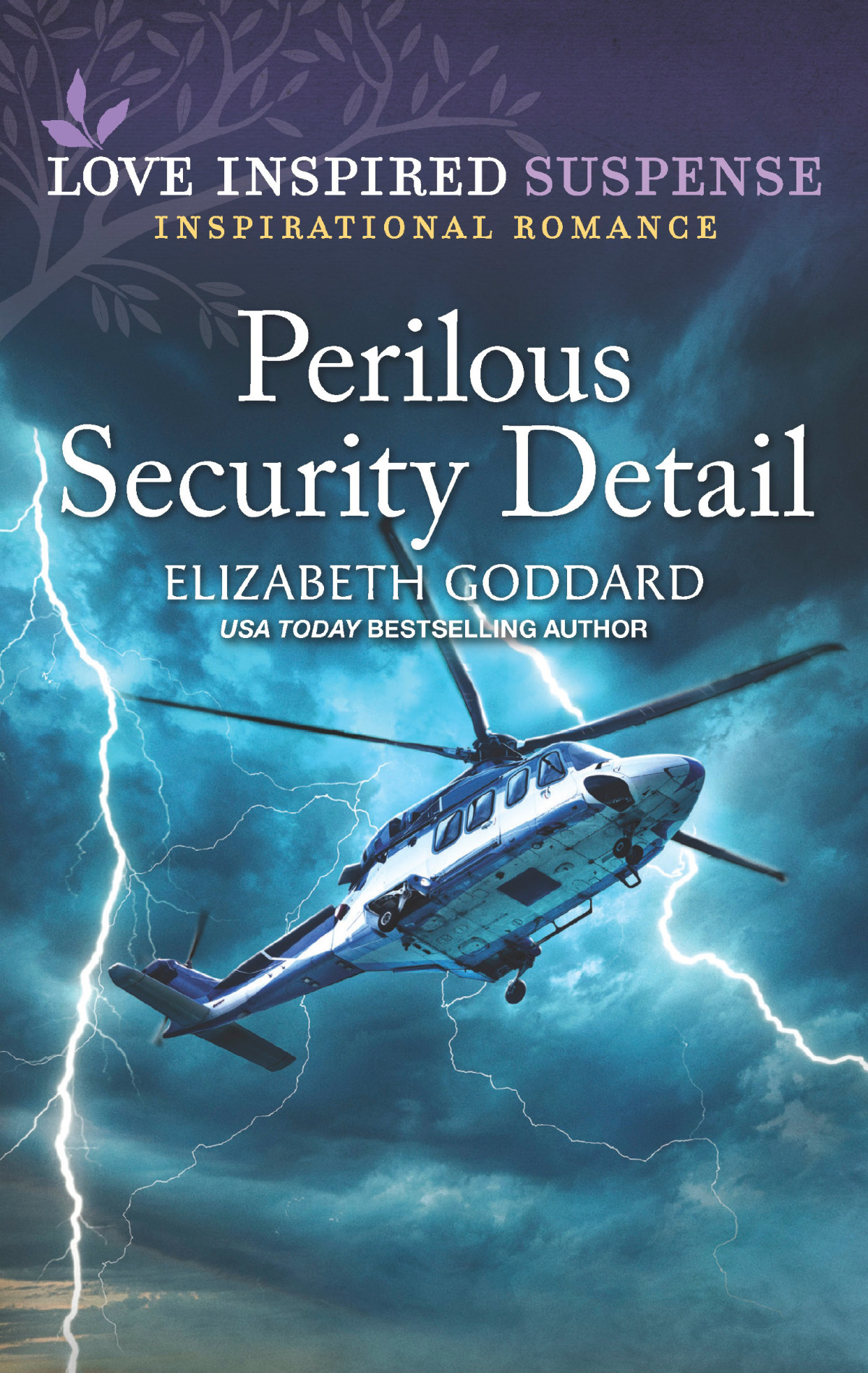 Perilous Security Detail Elizabeth Goddard