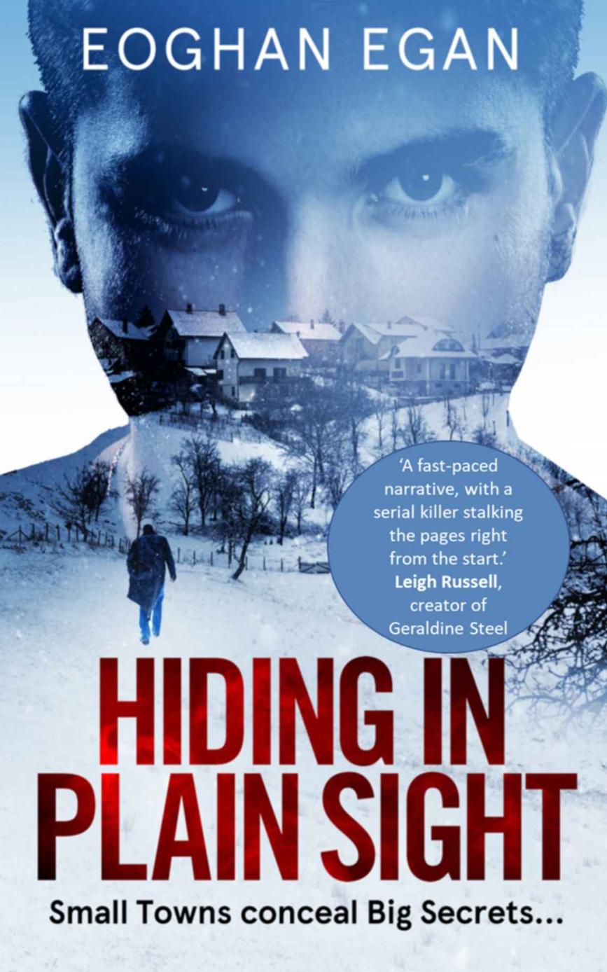 Hiding In Plain Sight Ganestown Crime Series Book 1 Eoghan Egan