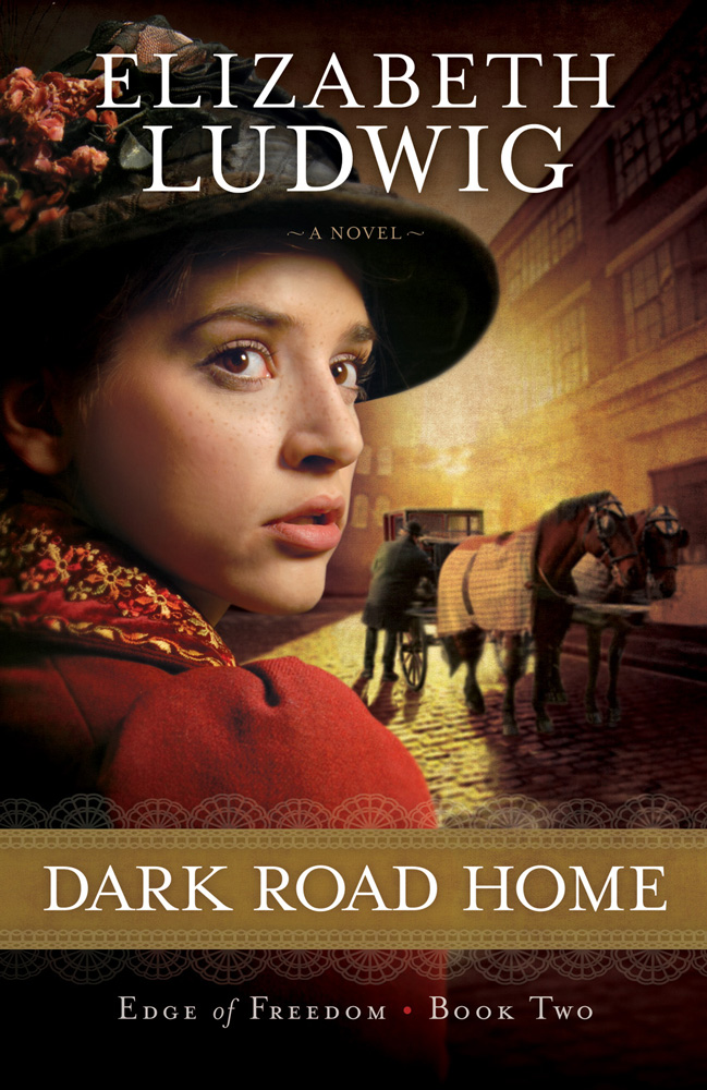 Dark Road Home Elizabeth Ludwig