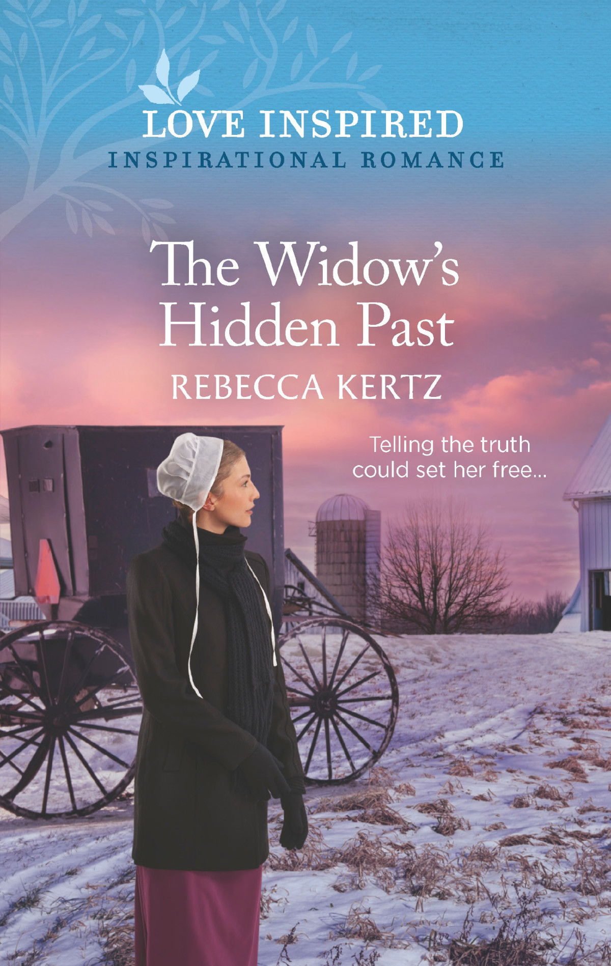 The Widows Hidden Past Rebecca Kertz