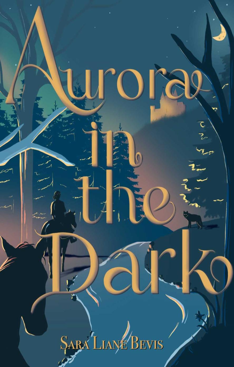 Aurora In The Dark Seasons Of Aurora Book 1 Sara Liane Bevis