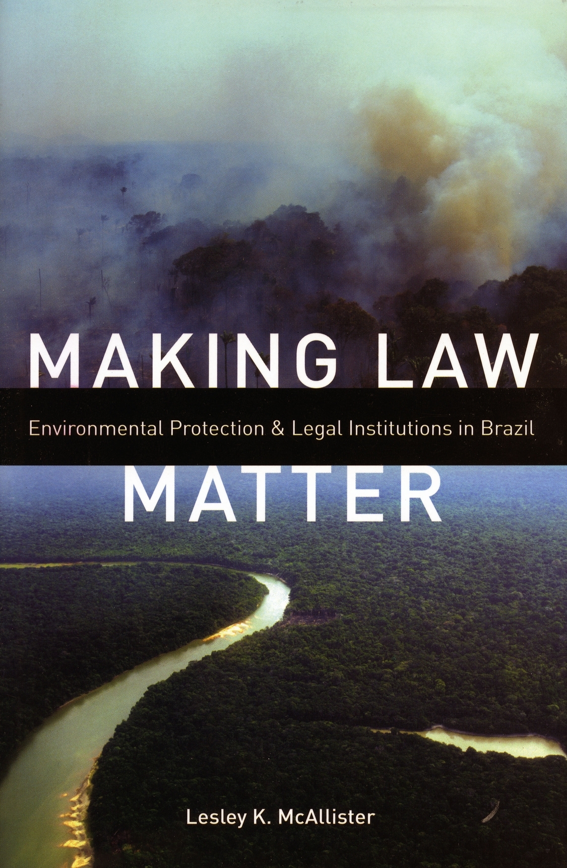 Making Law Matter Environmental Protection And Legal Institutions In Brazil Lesley K Mcallister