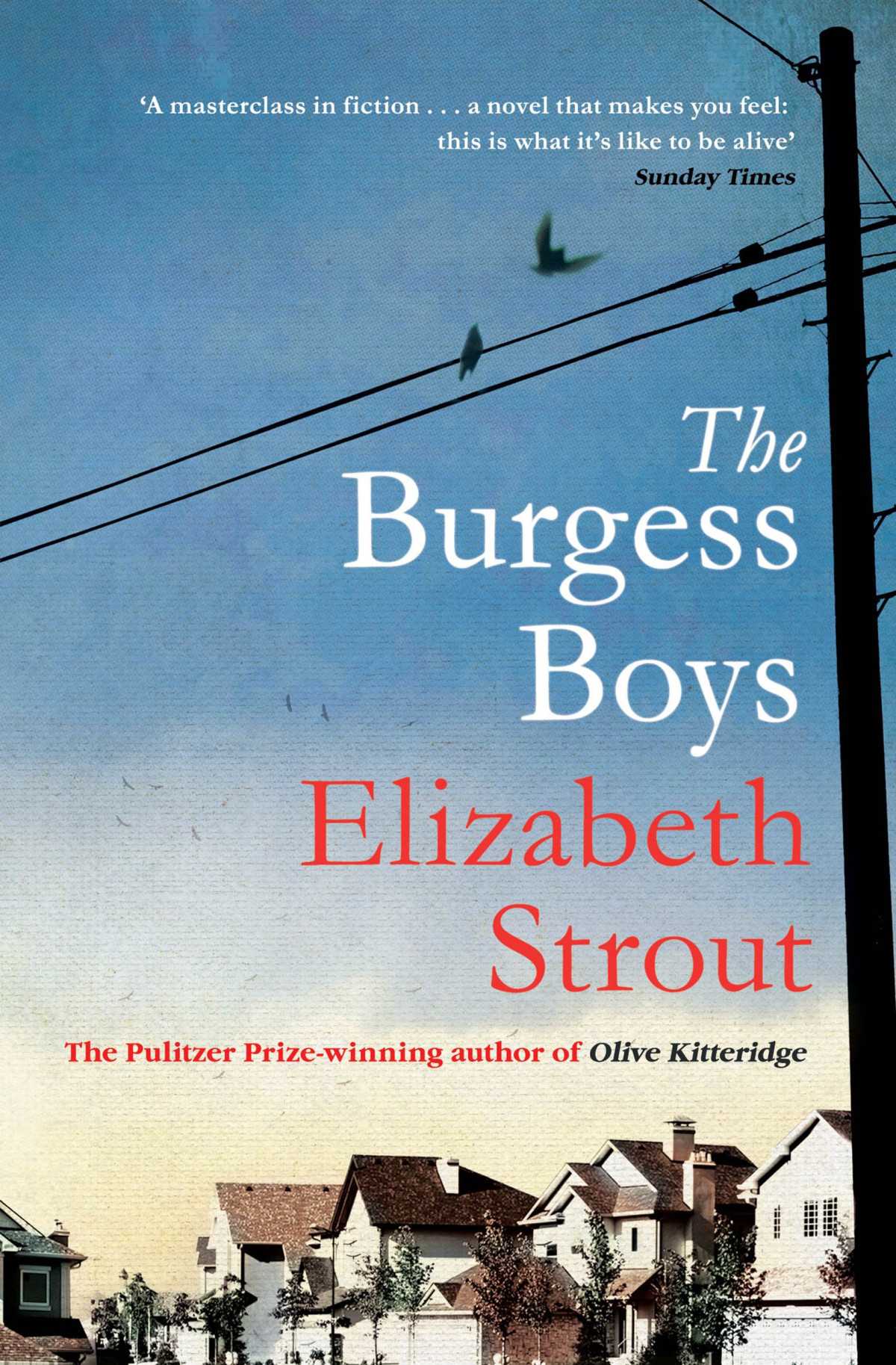 The Burgess Boys Elizabeth Strout