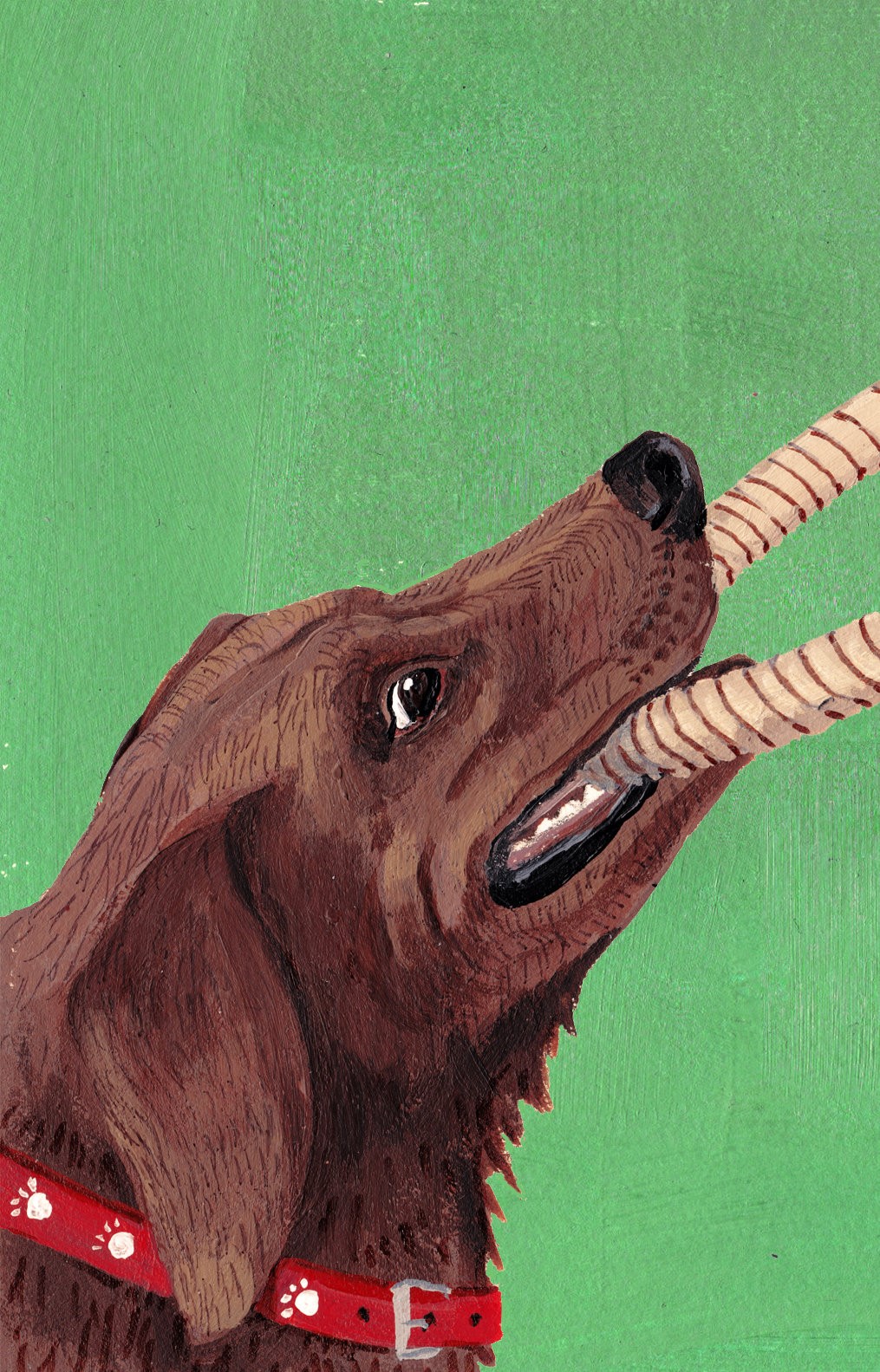 The Dogs Of Littlefield Suzanne Berne