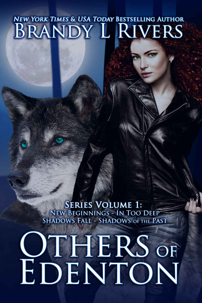 Others Of Edenton Series Volume 1 Brandy L Rivers