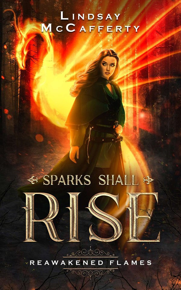 Reawakened Flames Lindsay Mccafferty