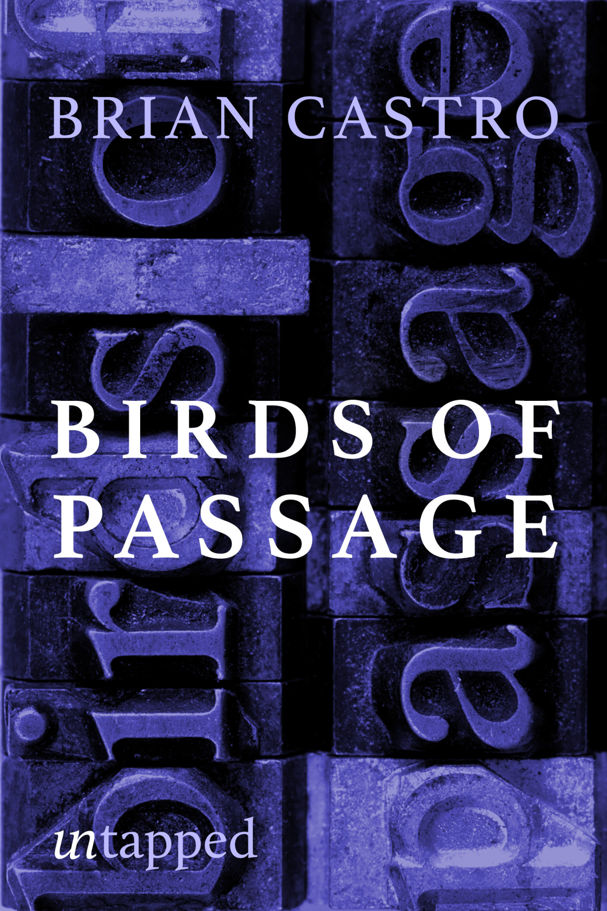 Birds Of Passage Brian Castro