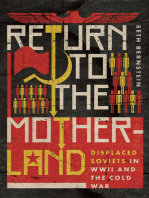 Return To The Motherland Seth Bernstein