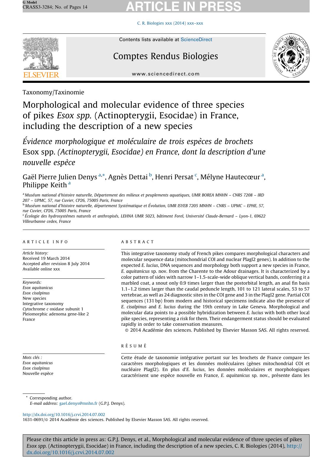 Morphological And Molecular Evidence Of Three Species Of Pikes Esox Spp Actinopterygii Esocidae In France Including The Description Of A New Species Gal Pierre Julien Denys Agns Dettai Henri Persat Mlyne Hautecur Philippe Keith