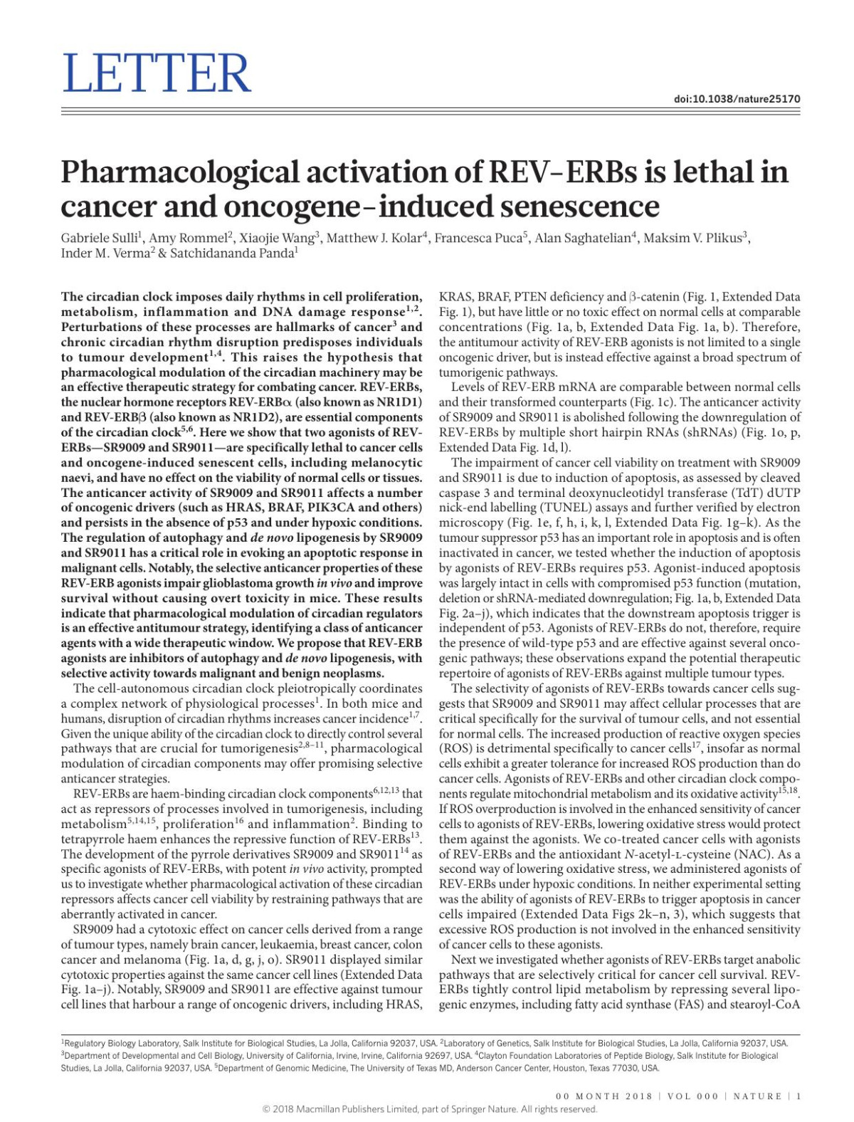 Pharmacological Activation Of Reverbs Is Lethal In Cancer And Oncogeneinduced Senescence Gabriele Sulli Amy Rommel Xiaojie Wang Matthew J Kolar Francesca Puca Alan Saghatelian Maksim V Plikus Inder M Verma Satchidananda Panda