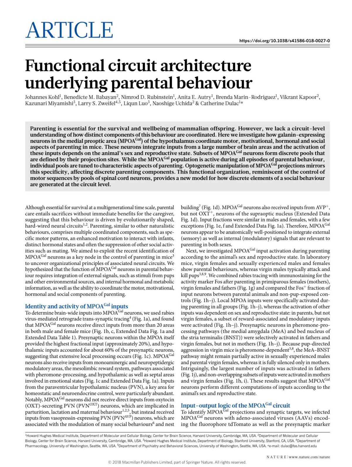 Functional Circuit Architecture Underlying Parental Behaviour Johannes Kohl Benedicte M Babayan Nimrod D Rubinstein Anita E Autry Brenda Marinrodriguez Vikrant Kapoor Kazunari Miyamishi Larry S Zweifel Liqun Luo Naoshige Uchida Catherine Dulac