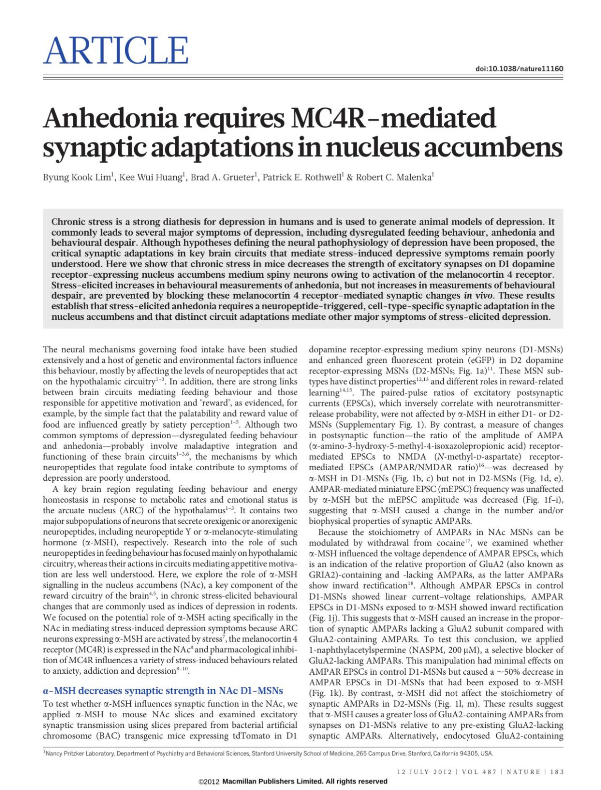 Anhedonia Requires Mc4rmediated Synaptic Adaptations In Nucleus Accumbens Byung Kook Lim Kee Wui Huang Brad A Grueter Patrick E Rothwell Robert C Malenka