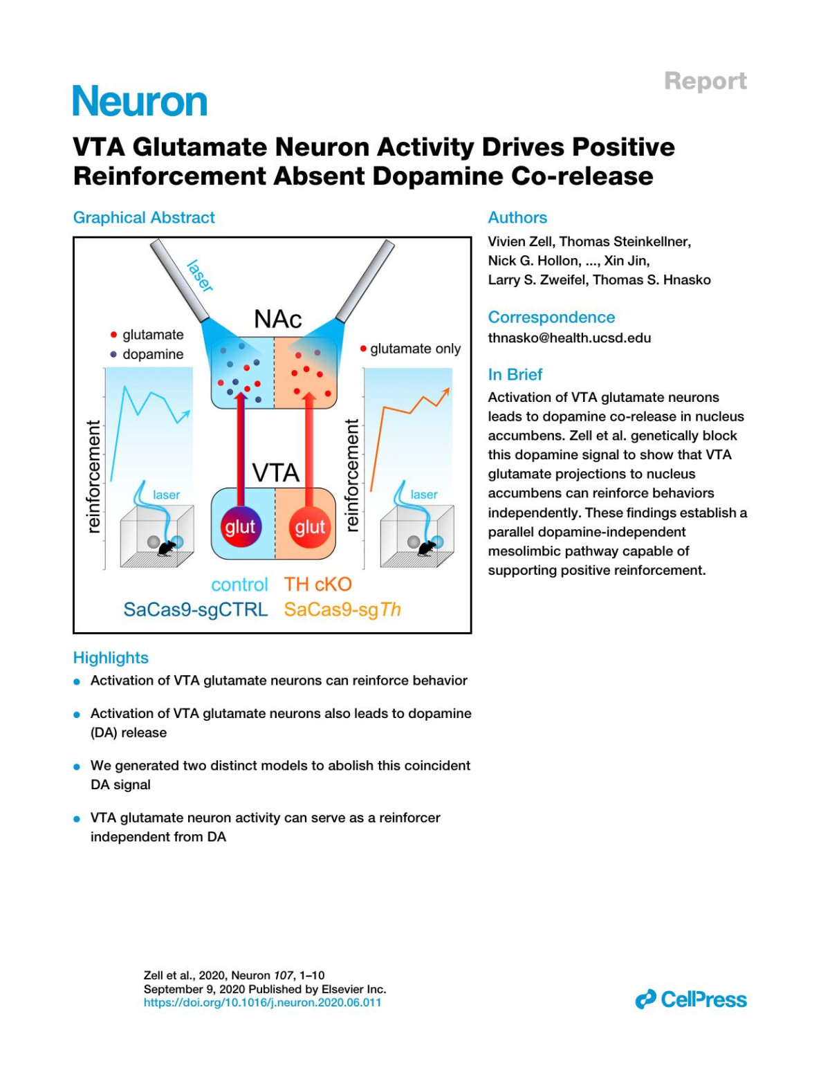 Vta Glutamate Neuron Activity Drives Positive Reinforcement Absent Dopamine Corelease Vivien Zell Thomas Steinkellner Nick G Hollon Shelley M Warlow Elizabeth Souter Lauren Faget Avery C Hunker Xin Jin Larry S Zweifel Thomas S Hnasko