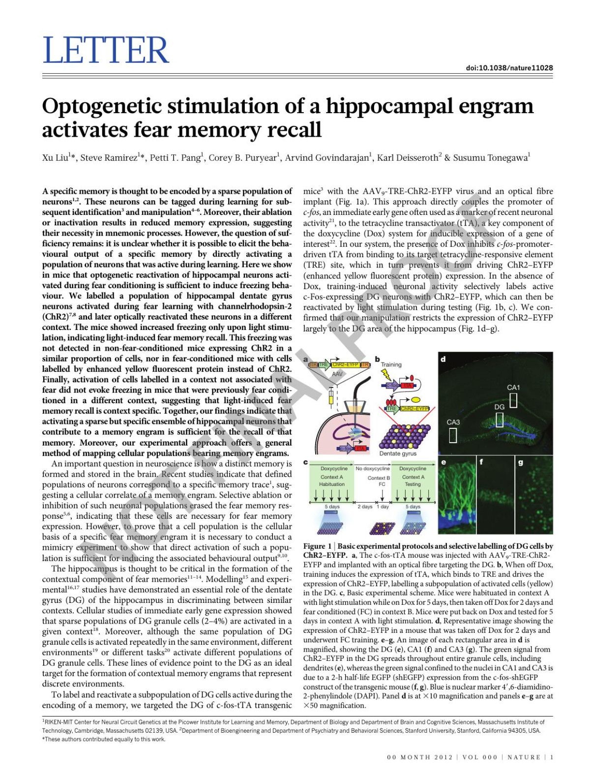 Optogenetic Stimulation Of A Hippocampal Engram Activates Fear Memory Recall Xu Liu Steve Ramirez Petti T Pang Corey B Puryear Arvind Govindarajan Karl Deisseroth Susumu Tonegawa