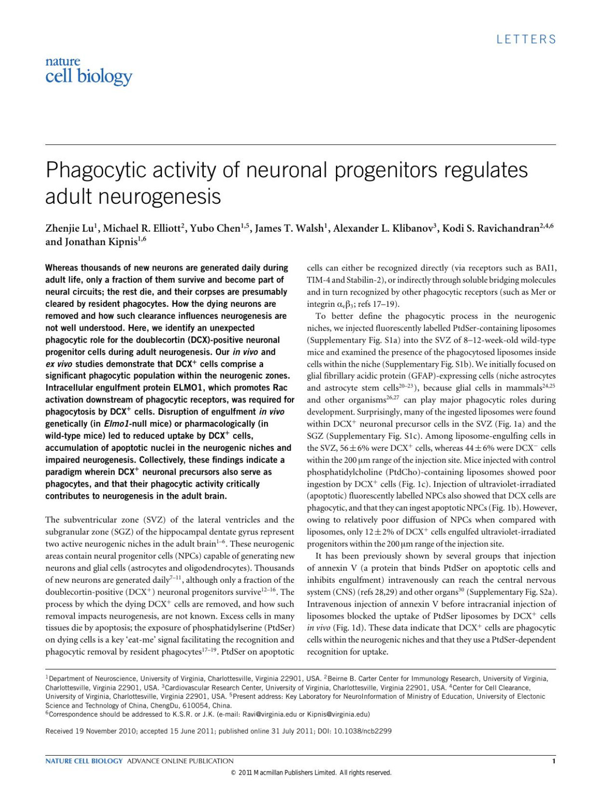 Phagocytic Activity Of Neuronal Progenitors Regulates Adult Neurogenesis Zhenjie Lu Michael R Elliott Yubo Chen James T Walsh Alexander L Klibanov Kodi S Ravichandran Jonathan Kipnis