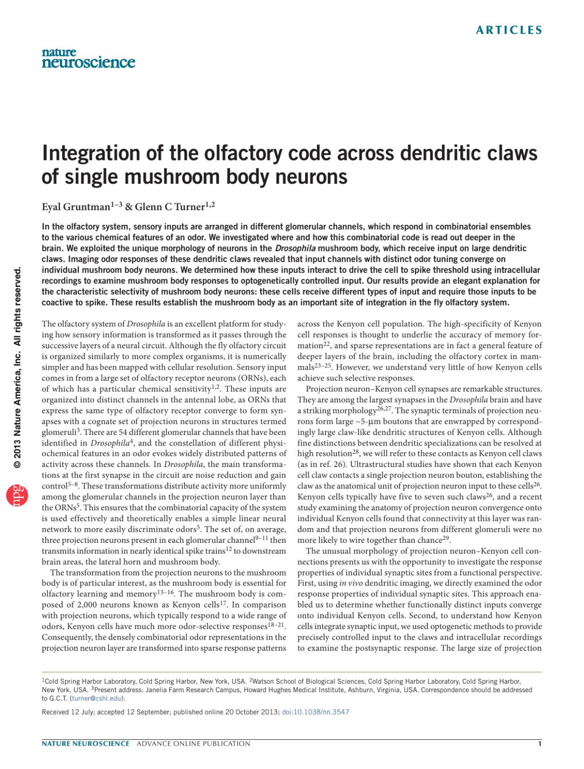 Integration Of The Olfactory Code Across Dendritic Claws Of Single Mushroom Body Neurons Eyal Gruntman Glenn C Turner